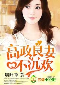 高政良妻不沈欢封面