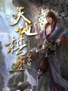 天地棋盘封面