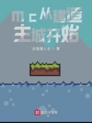 mc从建造主城开始封面