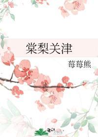 棠梨关津封面