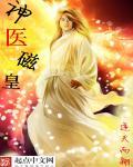 神医磁皇封面
