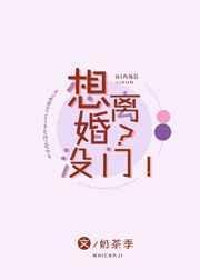 想离婚？没门！封面