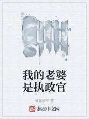 我的老婆是执政官封面