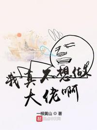 我不是大佬封面