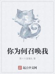 你为何召唤我封面