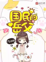 国民的岳父封面