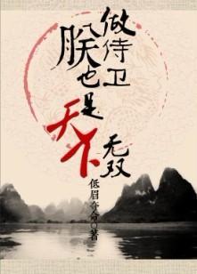 做侍卫,朕也是天下无双封面