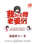 我的尤物老婆封面