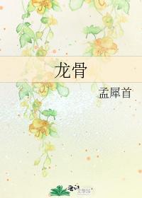 龙骨封面