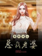 我的冰山总裁老婆杨心怡封面