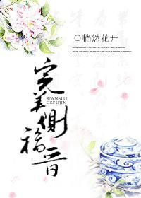 完美侧福晋封面
