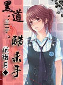黑道公主酷杀手封面