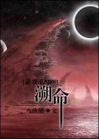 溯命封面