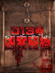 013号凶案密档封面