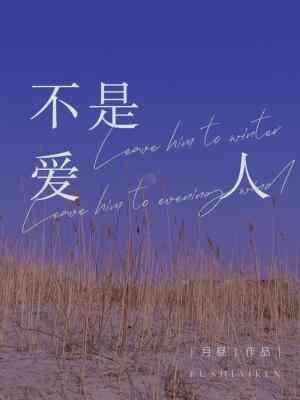 不是爱人封面