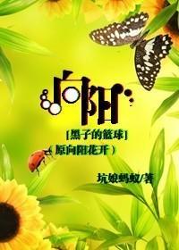 [黑子的篮球]向阳（原向阳花开）封面