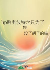哈利波特之只为了你封面