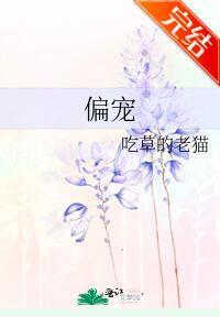 偏宠封面