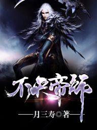 不灭帝师封面