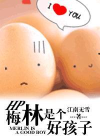 梅林是个好孩子封面