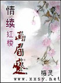 情续红楼画眉蹙封面