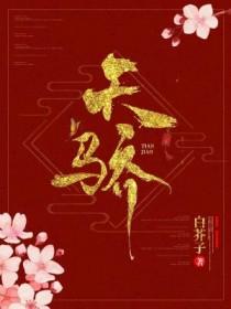 天骄封面