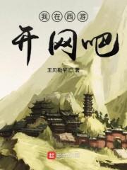 我在仙界开网吧封面