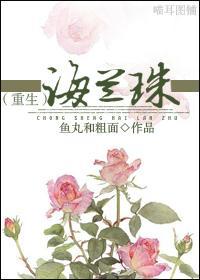 重生海兰珠封面