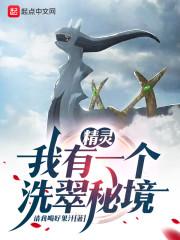 精灵:我有一个洗翠秘境封面