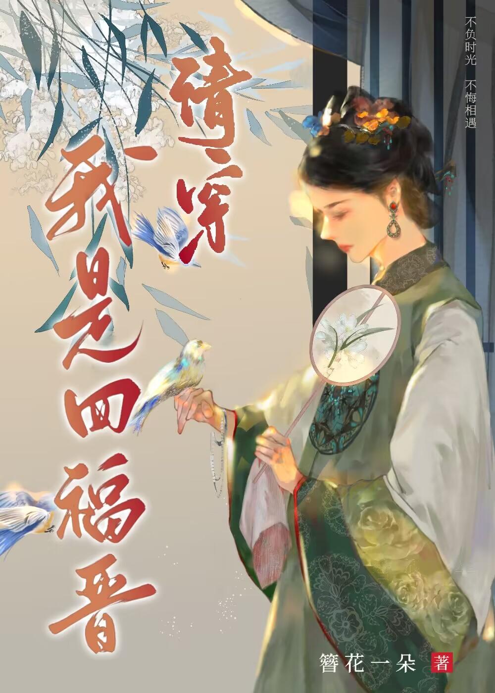 清穿我是四福晋封面