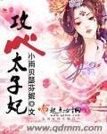 攻心太子妃封面