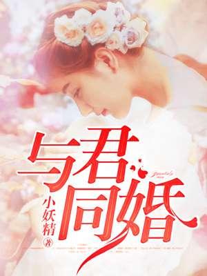 与君同婚封面