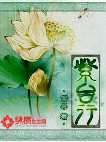 紫臺行封面