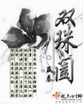 双珠阖封面