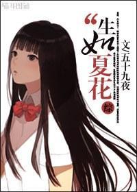 综之生如夏花封面