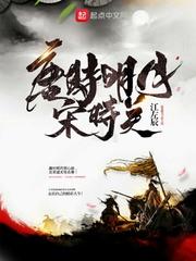 唐时明月宋时关封面