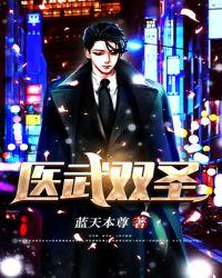 医武双圣封面