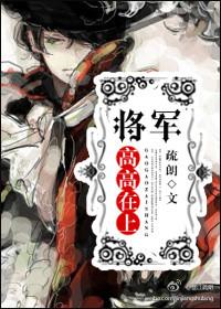 将军高高在上封面