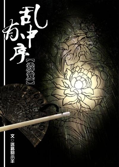 霹雳之乱中有序封面