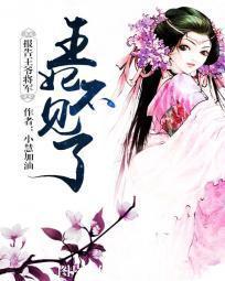 报告王爷将军:王妃不见了封面