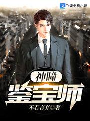神瞳鉴宝师封面