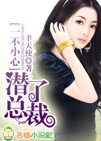一不小心潜了总裁封面