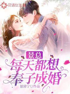 景总每天都想奉子成婚封面