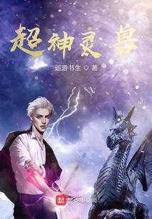 超神灵兽封面