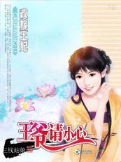 王妃改嫁：王爷请小心封面