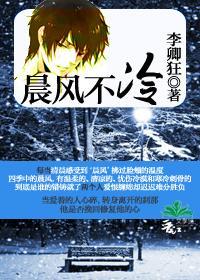 晨风不冷封面