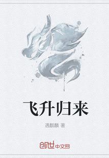 飞升归来封面
