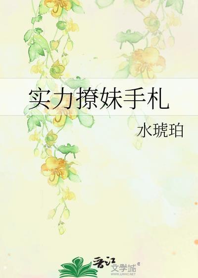 实力撩妹手札封面