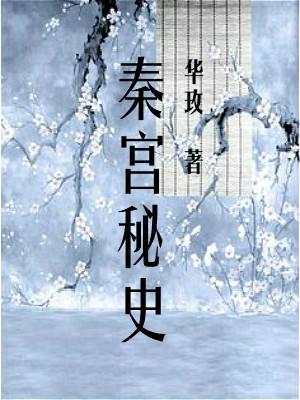 秦宫秘史封面