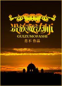 贵族魔法师封面